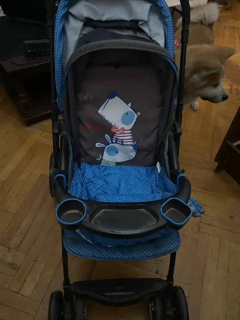 Детскую коляску — Тбилиси — 130 ₾