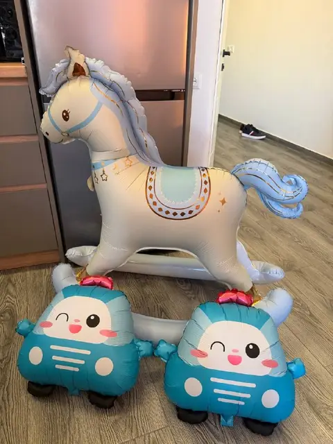 Конь 20 — Батуми — 20 ₾