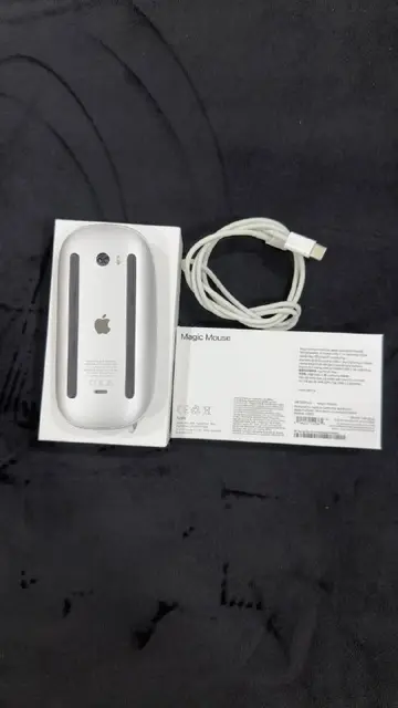Apple Magic Mouse USB-C — Батуми — 100 ₾