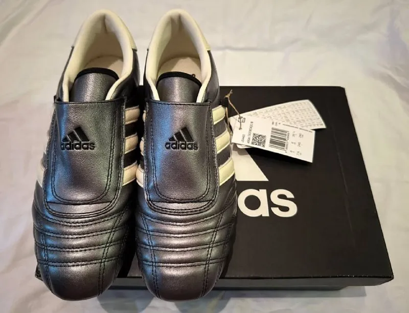 Adidas taekwondo