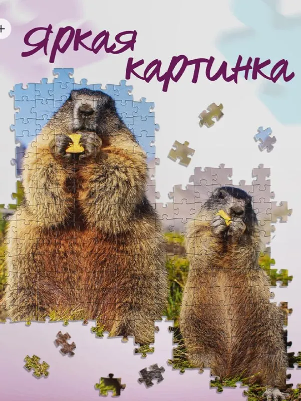 Пазл (мозайка) Step Puzzle с сурками 500 деталей