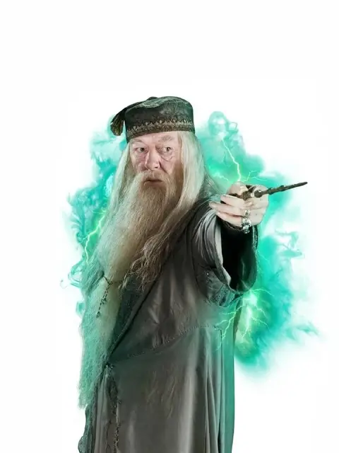 Harry Potter / Albus Dumbledore Wand — Тбилиси — 25 ₾