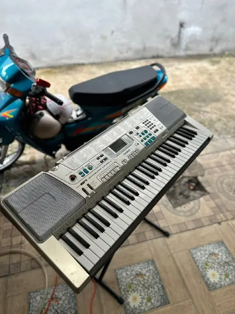 Синтезатор Casio LK-300TV-P — Tbilisi — 290 ₾