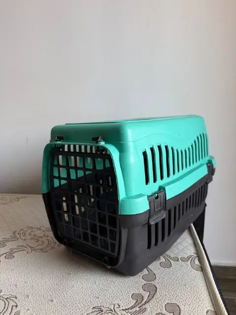 Переноска — Batumi — 15 ₾