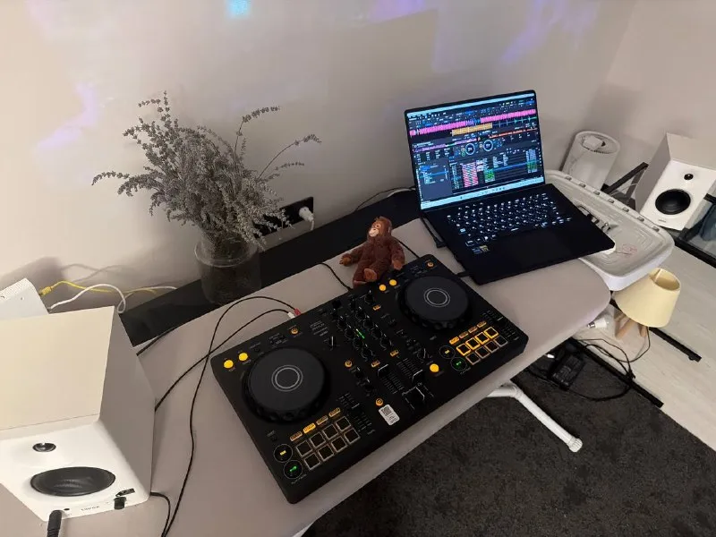 Ddj flx4