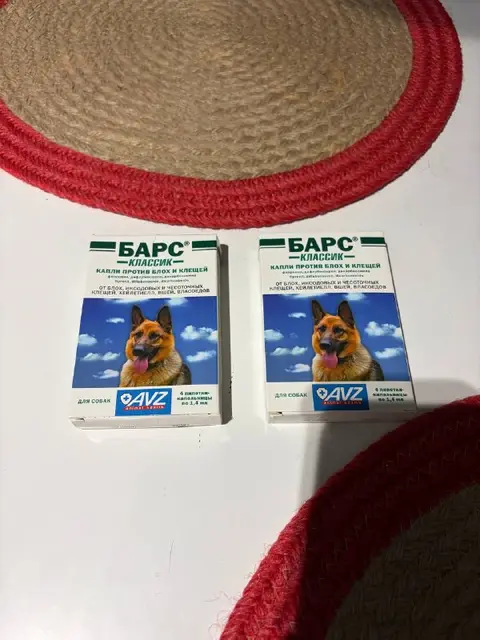 Капли Барс — Batumi