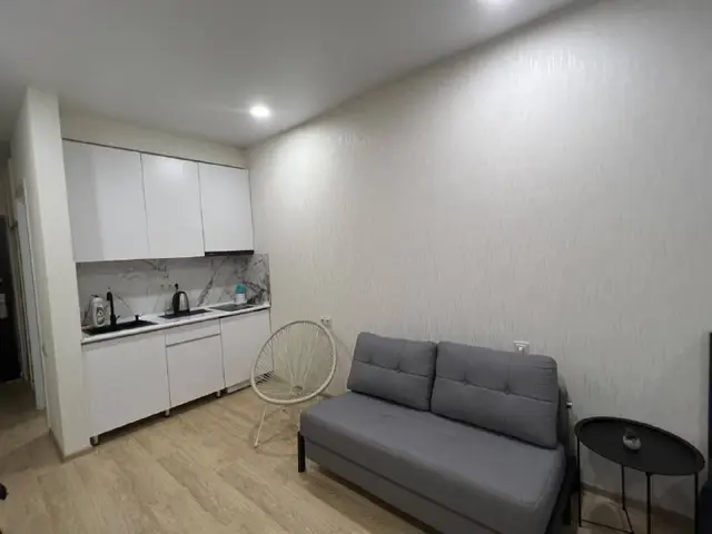 НОВАЯ СТУДИЯ — Батуми — 350 $