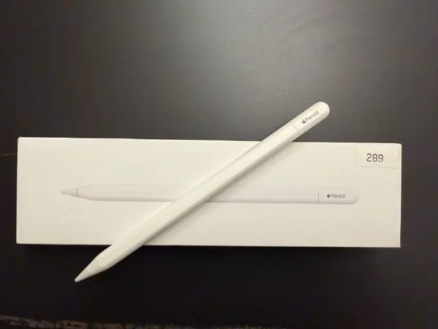 Apple Pencil USB-C — Тбилиси — 180 ₾