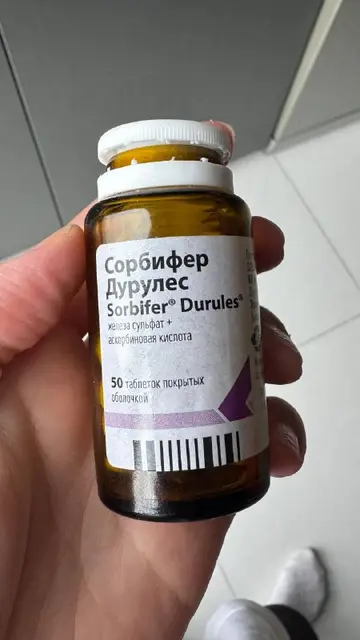 Сорбифер — Тбилиси — 15 ₾