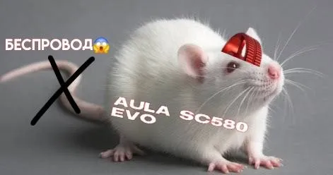 Новая