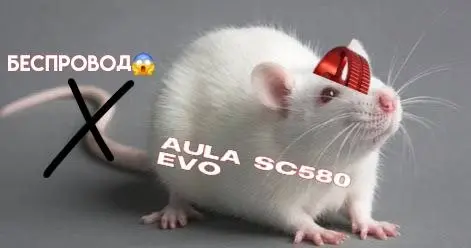 Новая — Астана — 15 000 ₸