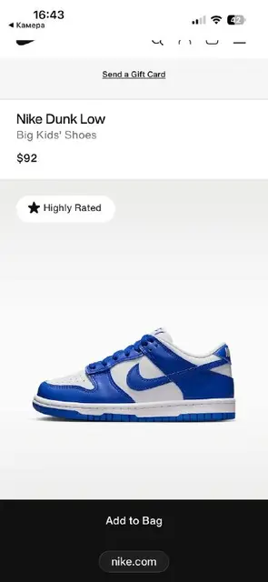 Nike Dunk Low — Батуми — 70 ₾