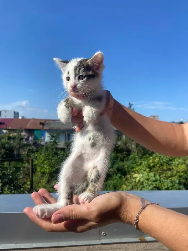 Маленький Иван